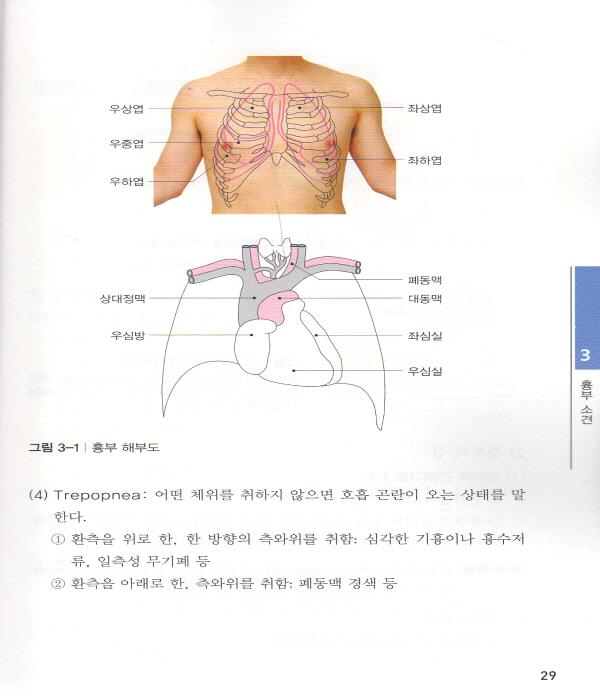 진찰 기본수기 매뉴얼