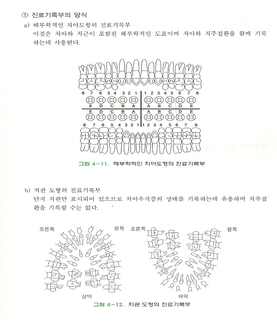 치면세마론 [개정판 5판] [양장본] 