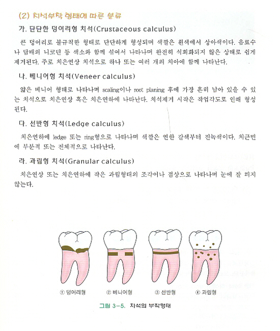 치면세마론 [개정판 5판] [양장본] 