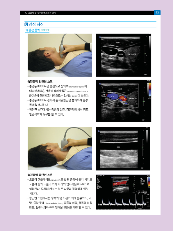 동영상으로 쉽게 배우는 혈관초음파   