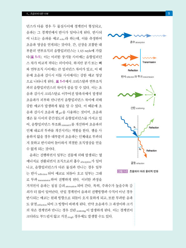 동영상으로 쉽게 배우는 혈관초음파   