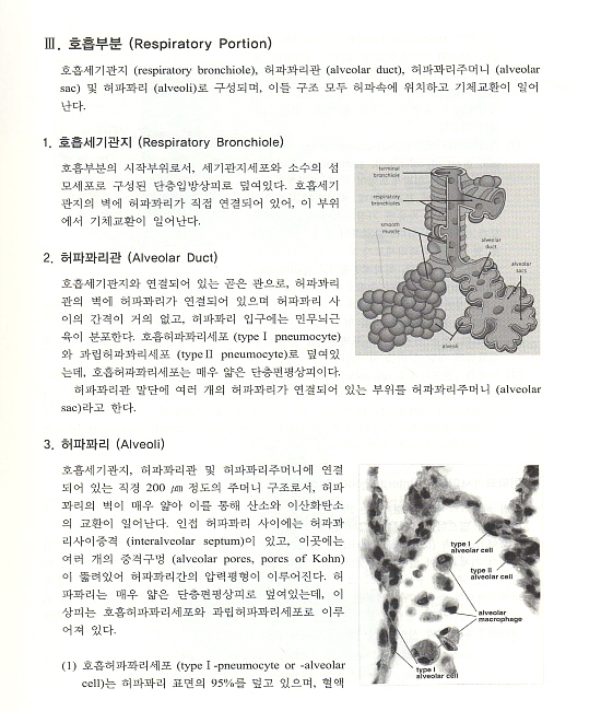 호흡기학 [양장본] 