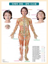 인체의 경혈경락 시스템