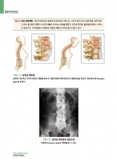 한의사를 위한 통증치료 매뉴얼. 3: 경추, 흉추, 요추 & 기능신경학