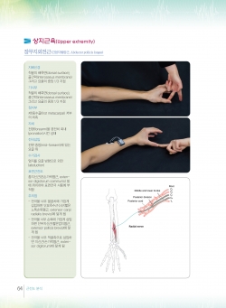 근전도 분석: 이론 및 적용