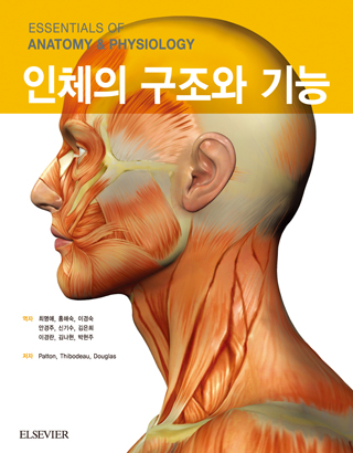 인체의 구조와 기능