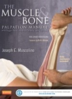 The Muscle and Bone Palpation Manual with Trigger Points, Referral Patterns and Stretching, 2nd Edition