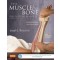 The Muscle and Bone Palpation Manual with Trigger Points, Referral Patterns and Stretching, 2nd Edition