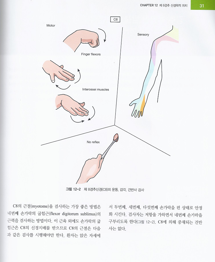 통증진단의 정석 3판 (그림과 사진으로 한 눈에 알 수 있는 진단법)