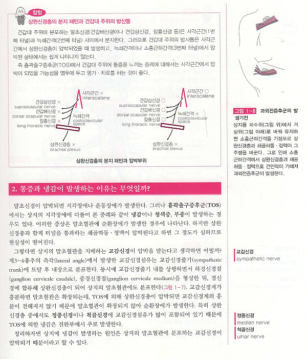 근골격계 질환의 통증해부학: 해부학으로 이해하는 근골격계 손상과 통증 