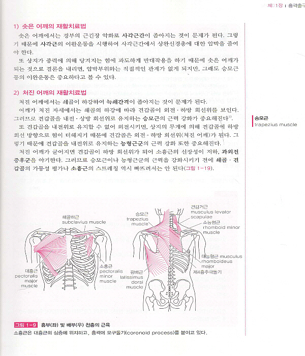 근골격계 질환의 통증해부학: 해부학으로 이해하는 근골격계 손상과 통증 