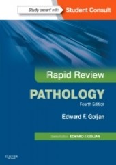 Rapid Review Pathology, 4/e 