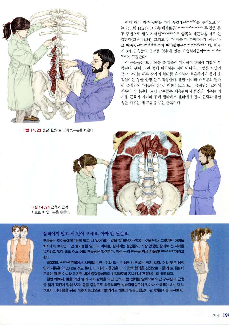 움직임가이드북:움직임을위한몸제작이야기