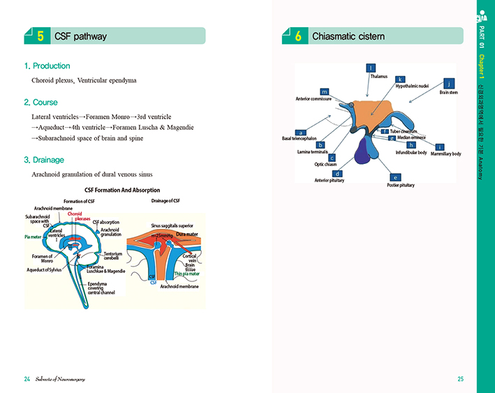 Subnote of Neurosurgery-신경외과 핵심요약집