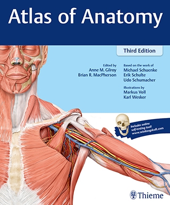 Atlas of Anatomy , 3e