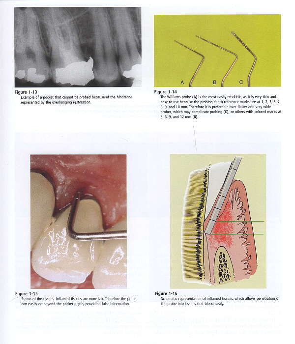 Restorative Dentistry  