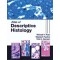 Atlas of Descriptive Histology