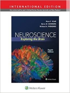 Neuroscience:Exploring the Brain,4/e(IE)