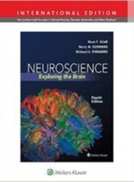 Neuroscience:Exploring the Brain,4/e(IE)