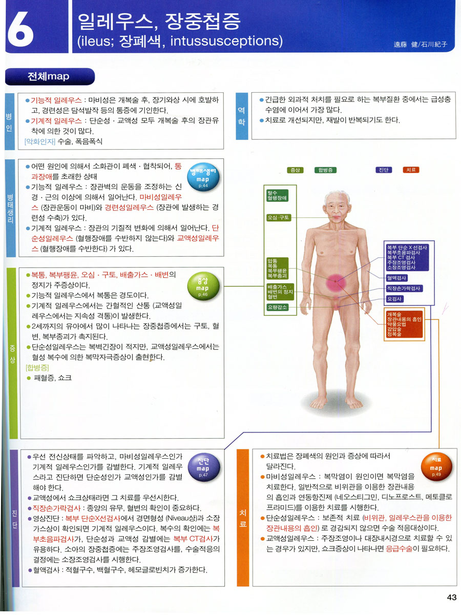 병태생리 (인체의 구조와 기능에서 본)  (1권~5권 set)