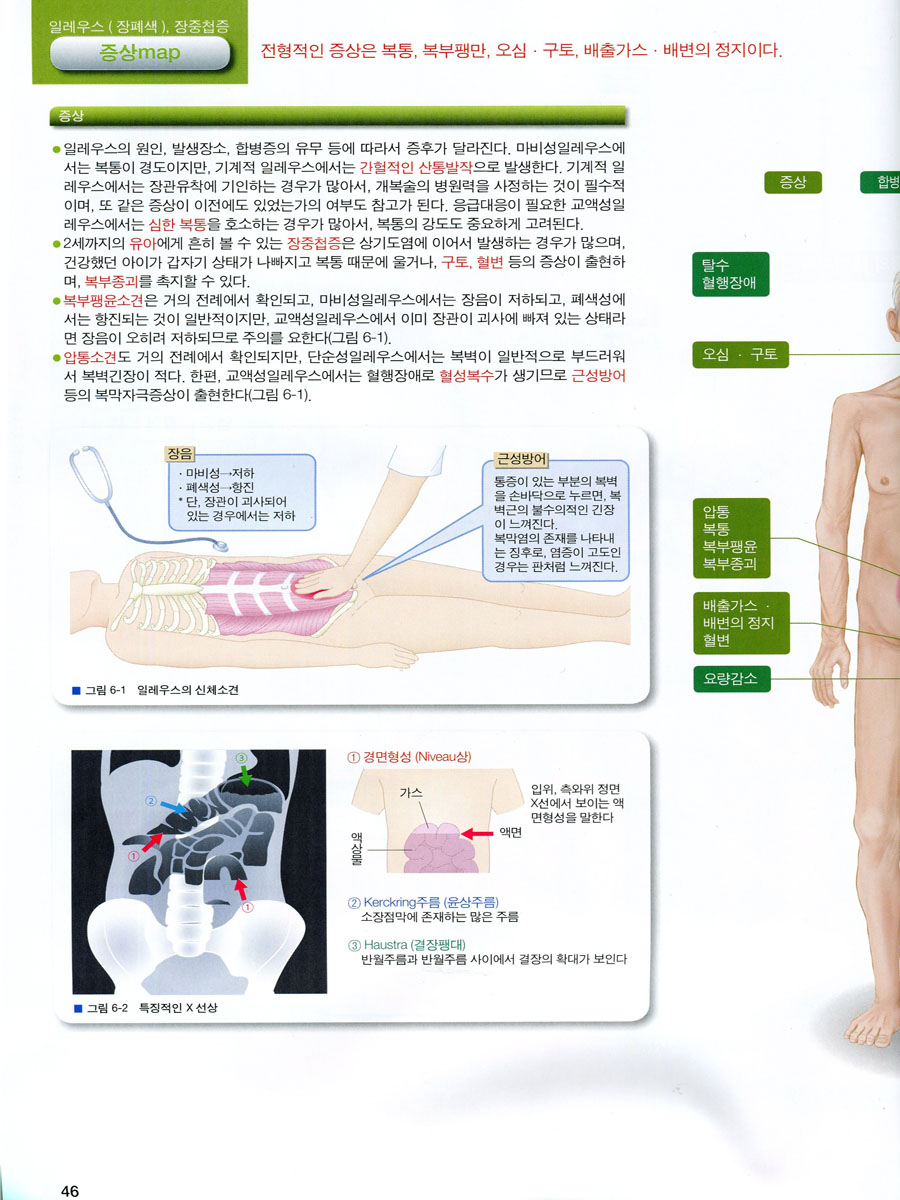 병태생리 (인체의 구조와 기능에서 본)  (1권~5권 set)