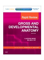 Rapid Review Gross and Developmental Anatomy, 3/e 