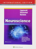 Lippincott Illustrated Reviews: Neuroscience 2e 