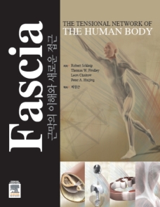 Fascia : 근막의 이해와 새로운 접근