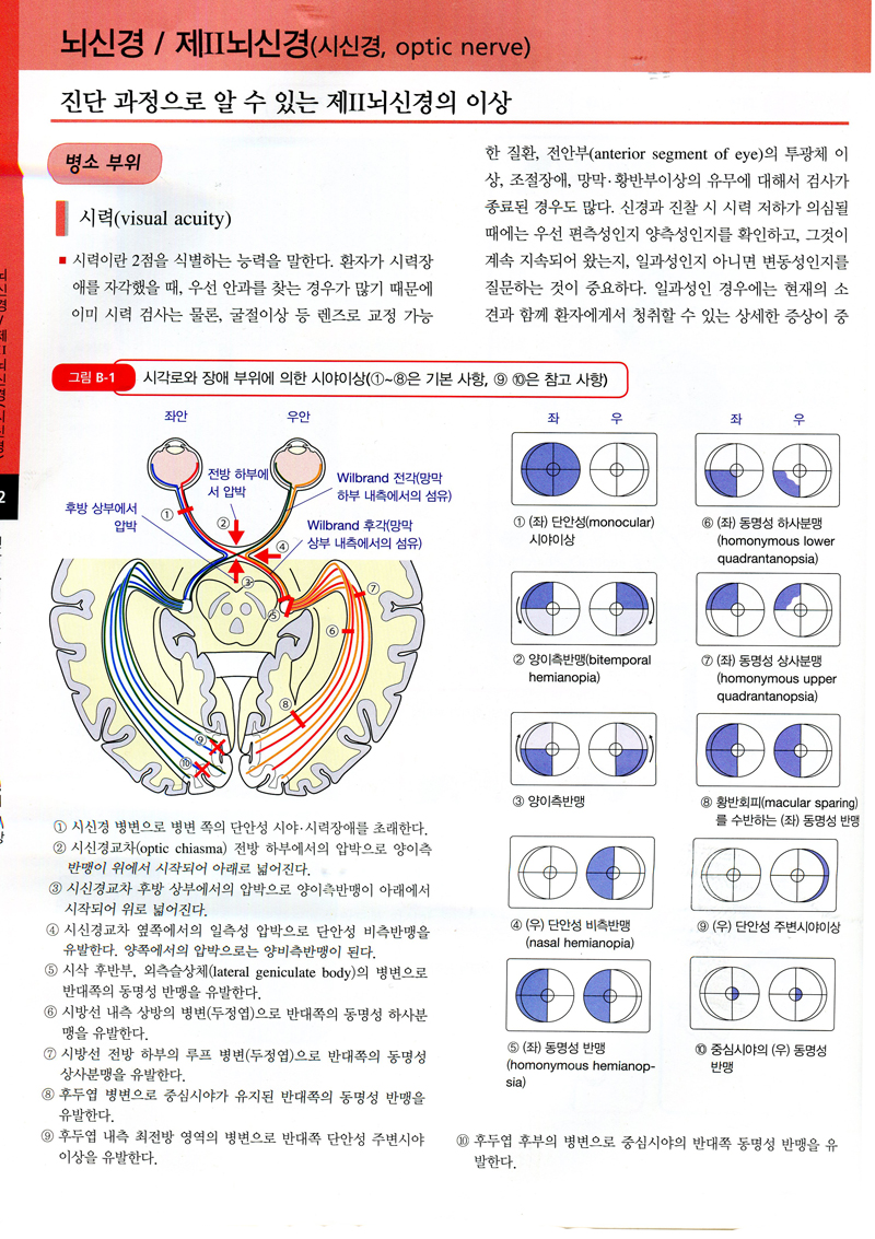 그림으로 이해하는 신경진찰법