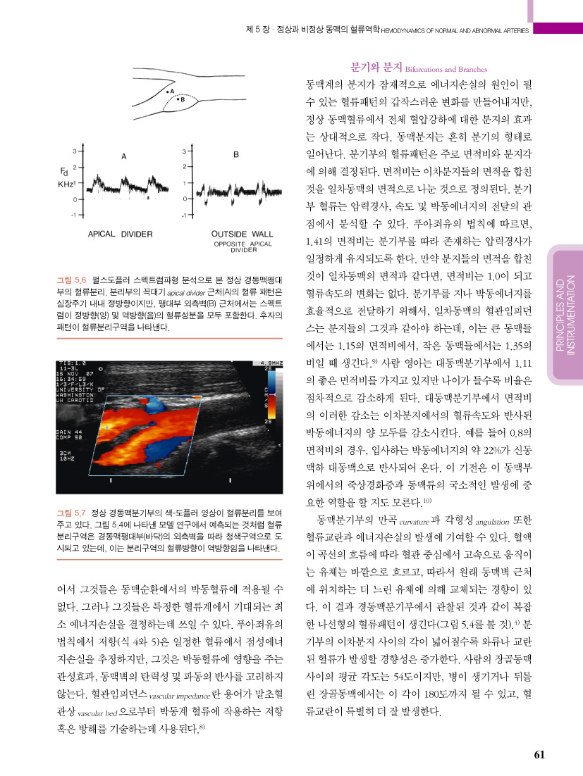 혈관초음파 - 혈관질환에서의 듀플렉스 스캐닝, 4/e 