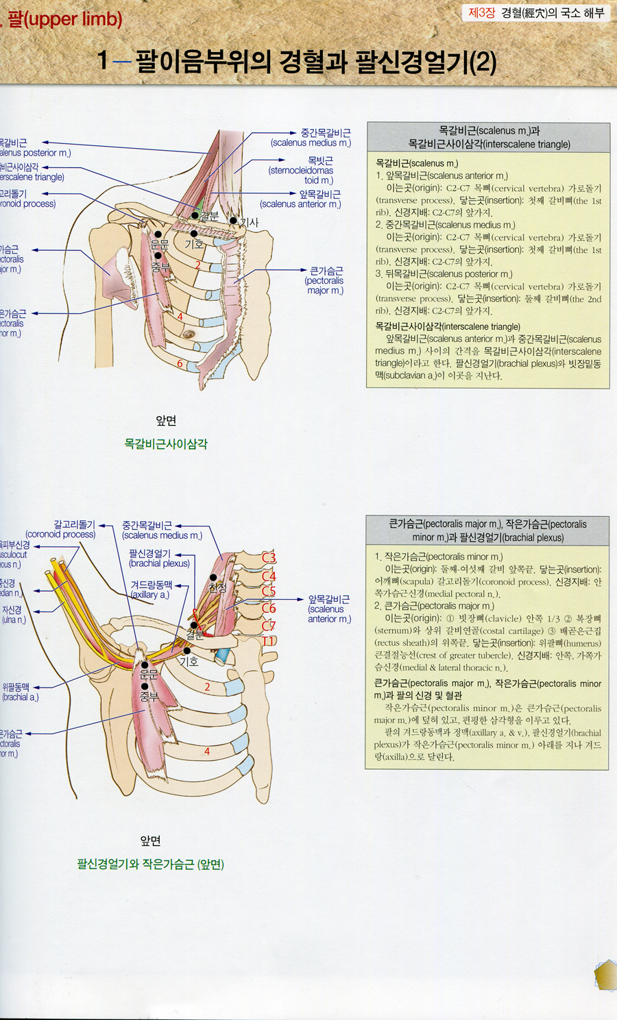 경혈 MAP 2판