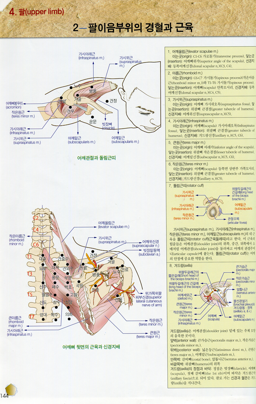 경혈 MAP 2판