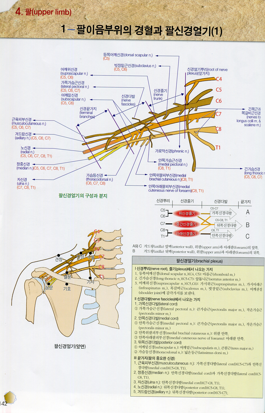 경혈 MAP 2판