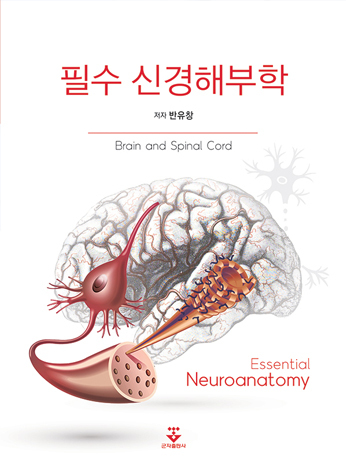 필수 신경해부학