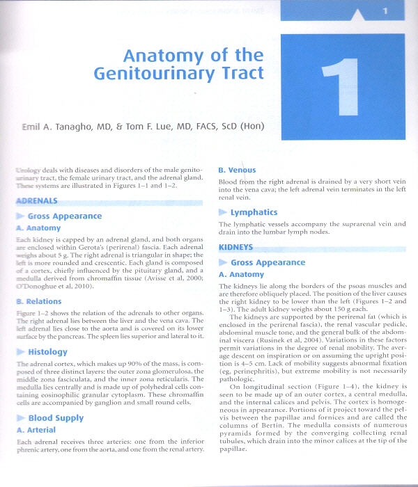 Smith and Tanagho's General Urology, 18/e