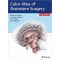 Color Atlas of Brainstem Surgery