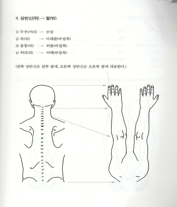 근육통 관절통을 쉽게 치료하는 즉효 옥침상응요법