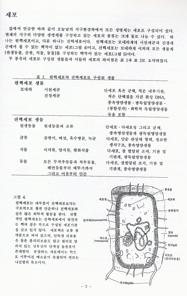 진화로 본 인간 1 (생명탐구)