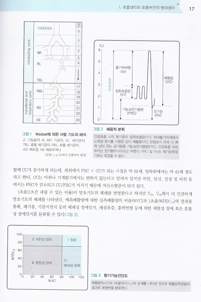 이해하기 쉬운 기계환기 치료-An Easy Way to Understand Mechanical Ventilation