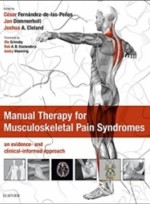 Manual Therapy for Musculoskeletal Pain Syndromes:an evidence- and clinical-informed approach 