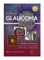 Shields' Textbook of Glaucoma, 6/e