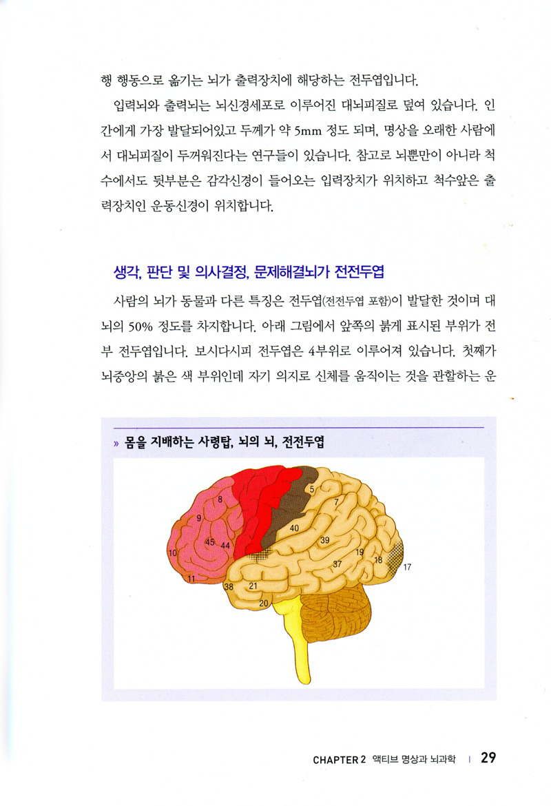 액티브 명상과 뇌과학: 몸만 잘 써도 뇌는 좋아진다