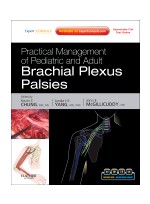 Practical Management of Pediatric and Adult Brachial Plexus Palsies