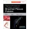 Practical Management of Pediatric and Adult Brachial Plexus Palsies
