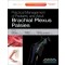 Practical Management of Pediatric and Adult Brachial Plexus Palsies