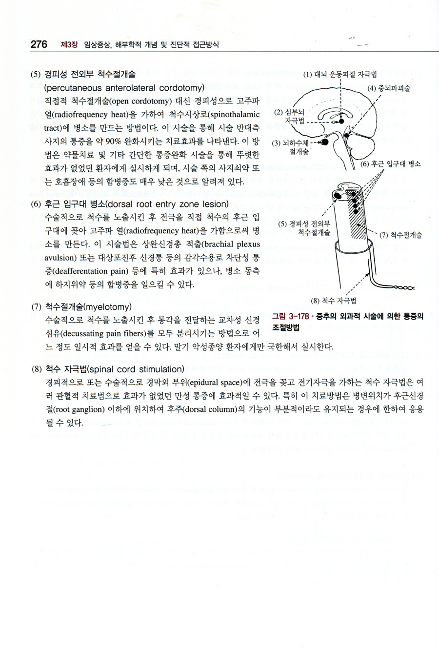 임상신경학(제5판):Lindsay