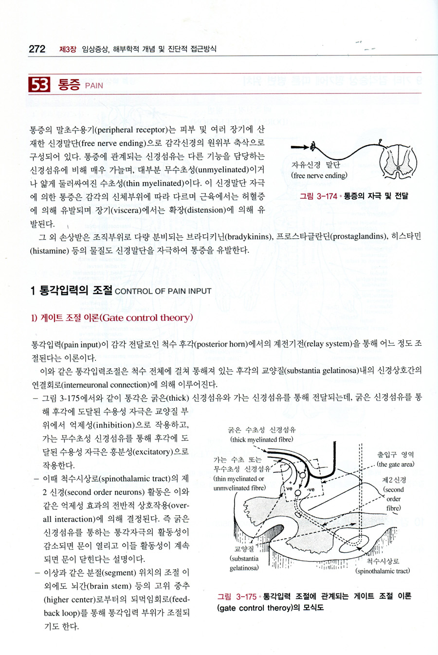 임상신경학(제5판):Lindsay