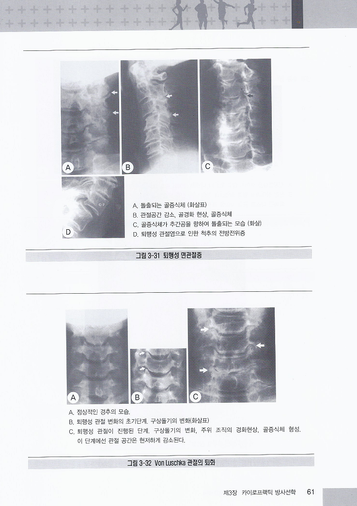 이주강 교수의 도수치료사를 위한 임상 카이로프랙틱 양장본