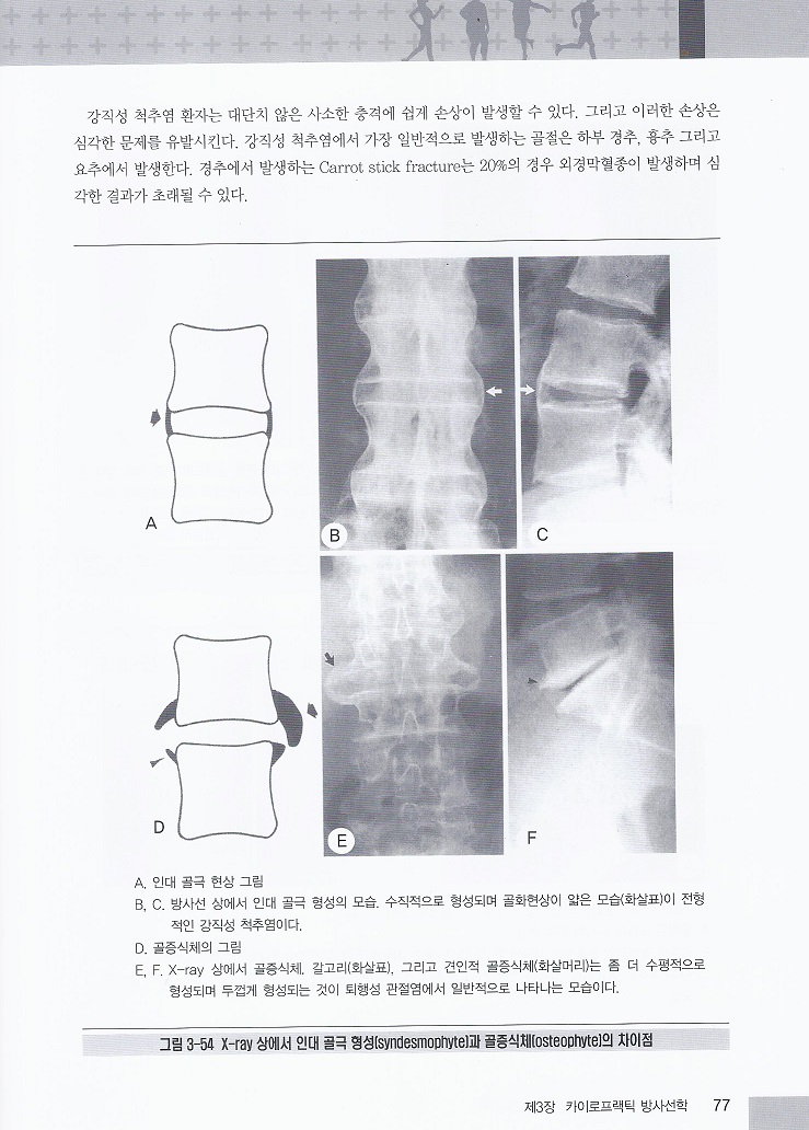 이주강 교수의 도수치료사를 위한 임상 카이로프랙틱 양장본