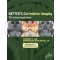 Netter's Correlative Imaging: Neuroanatomy-with NetterReference.com Access